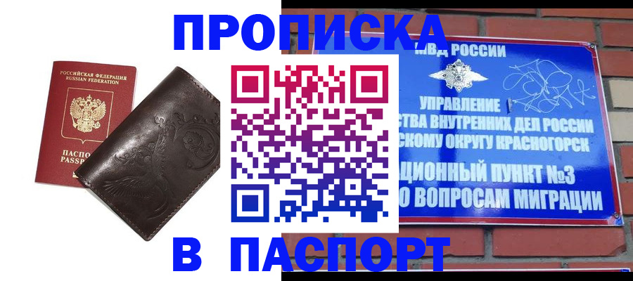 миграционный учет в Мончегорске